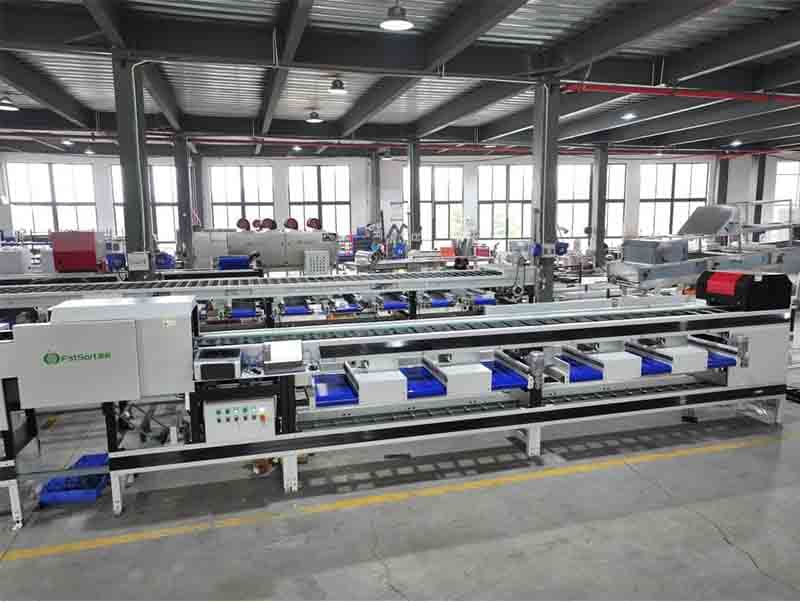 images/1719993668008coconut sorting grading line.jpg
